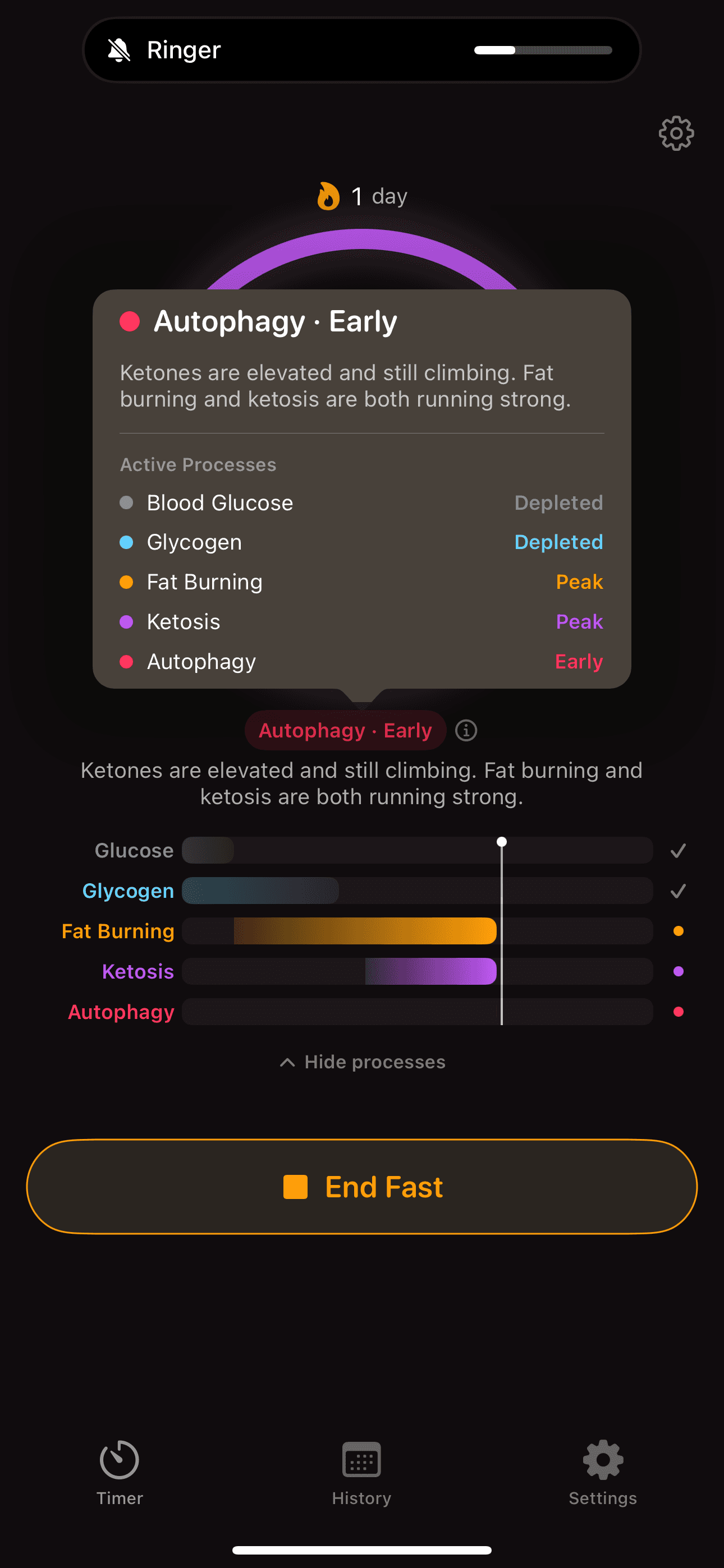 Metabolic zone detail with fat burning and ketosis indicators