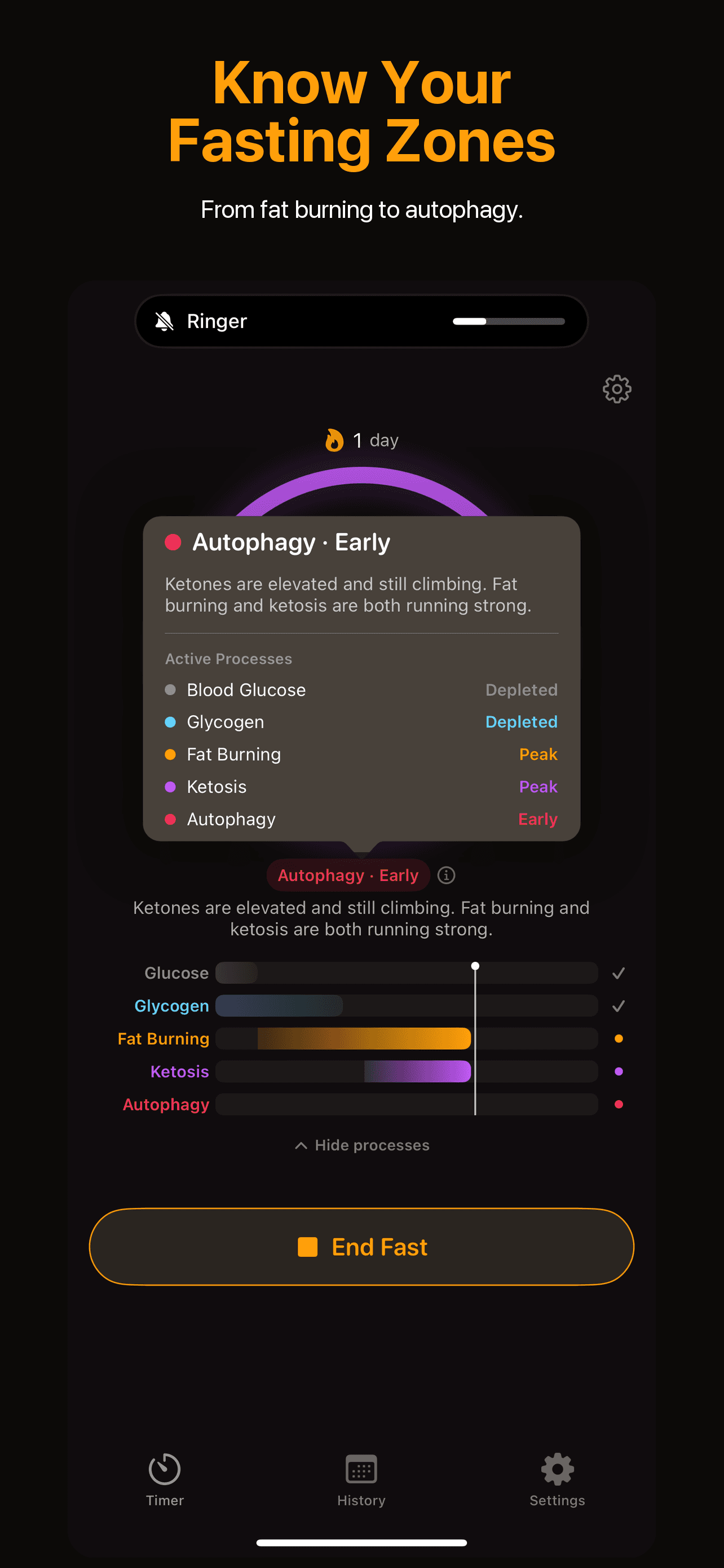 Fasting zones detail view from fat burning to autophagy with active processes