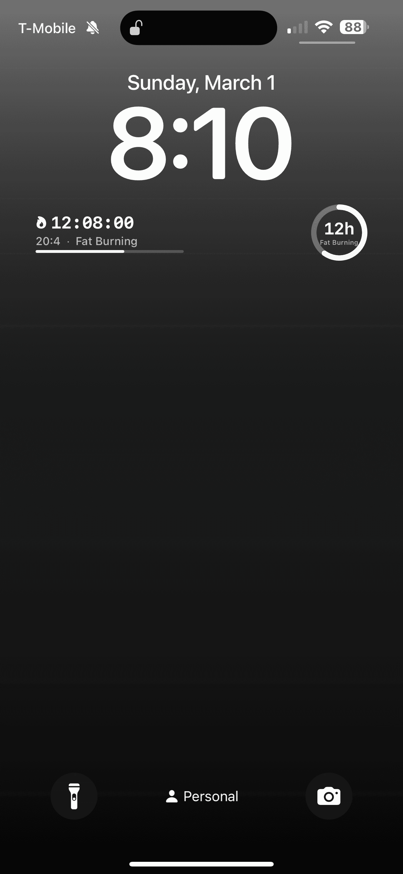 Lock screen widgets for quick fasting status